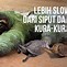 Sloth Binatang Apa